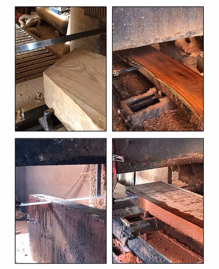 Tct Saw /Carbide Blade for Cutting Wood