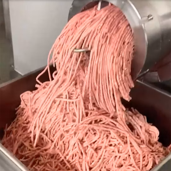 Stainless Steel Meat Grinder Cutting Blades